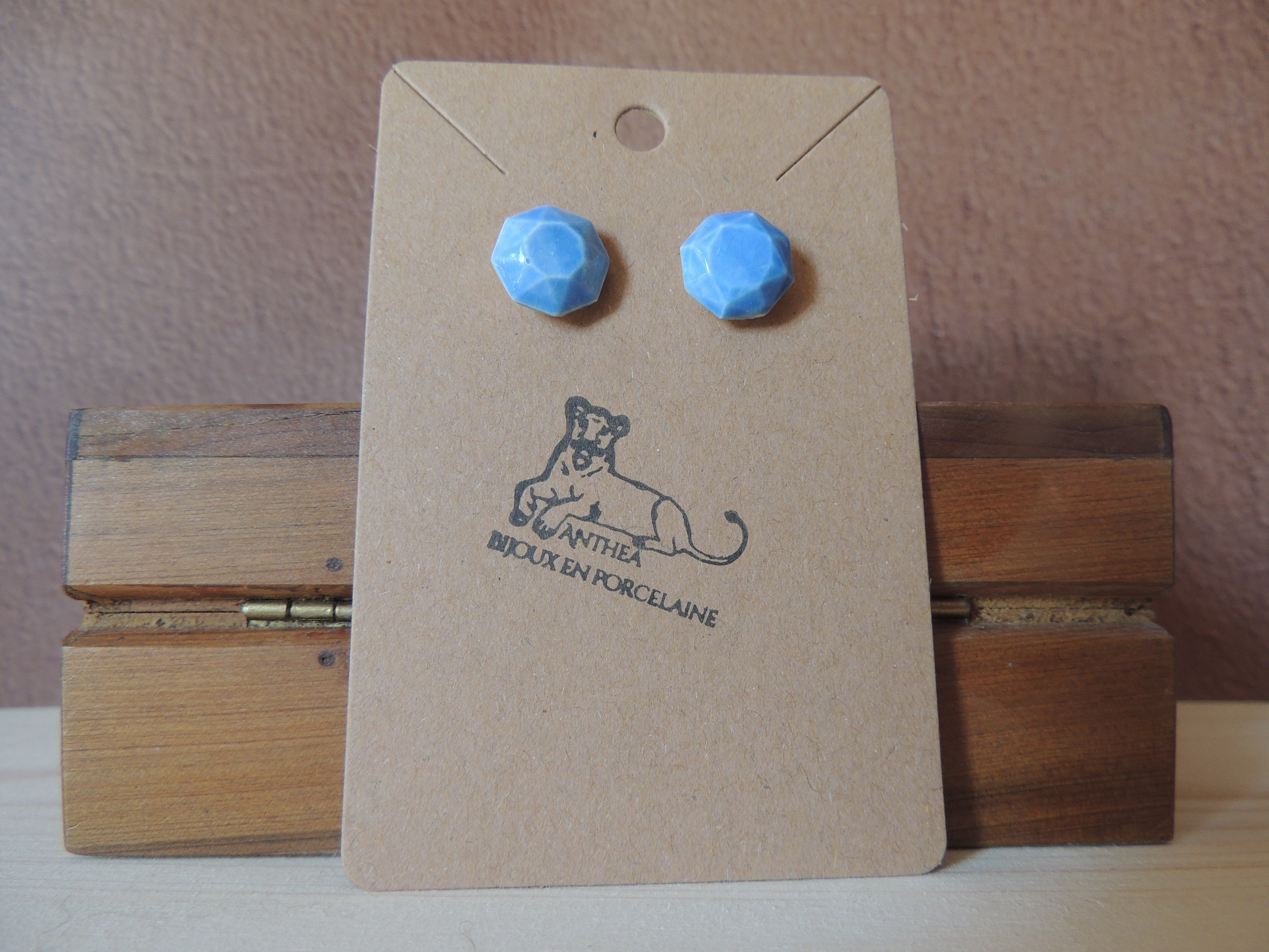 Boucle oreille pierre préciseuse panache de gemme